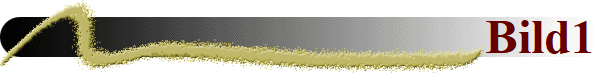 Bild1