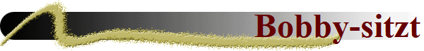 Bobby-sitzt