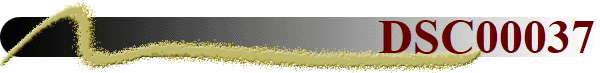 DSC00037
