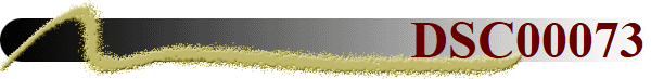 DSC00073