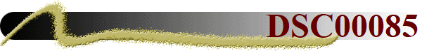 DSC00085