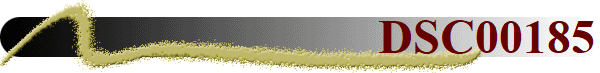 DSC00185