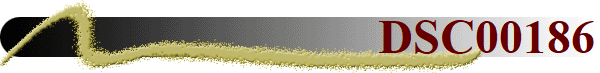 DSC00186