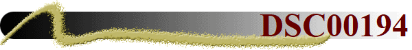 DSC00194