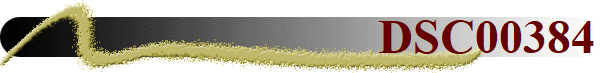 DSC00384