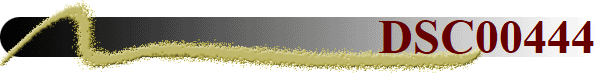 DSC00444