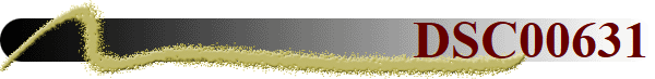DSC00631