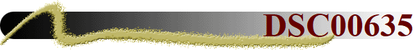 DSC00635