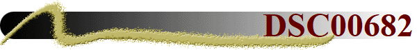 DSC00682