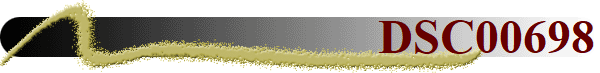 DSC00698