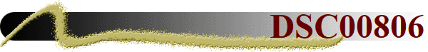 DSC00806
