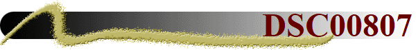 DSC00807