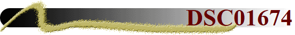 DSC01674