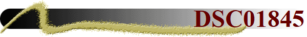 DSC01845