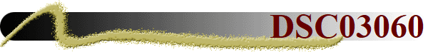 DSC03060