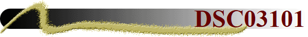 DSC03101