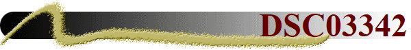 DSC03342