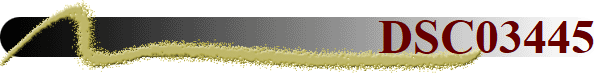 DSC03445