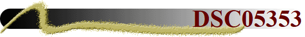 DSC05353