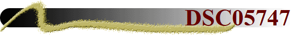 DSC05747