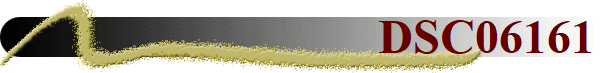 DSC06161