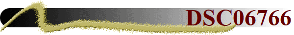 DSC06766