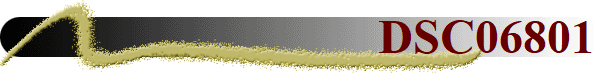 DSC06801