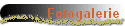 Fotogalerie