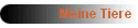 Meine Tiere