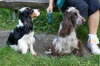 Pia und Dina