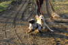 Spielen