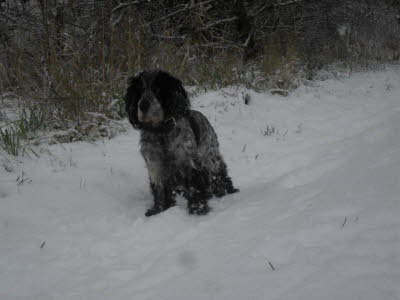 FB_IMG_1544344127842